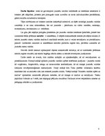 Referāts 'Mūsdienu jaunatnes leksikas īpatnības', 6.