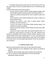 Referāts 'Mūsdienu jaunatnes leksikas īpatnības', 8.