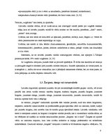 Referāts 'Mūsdienu jaunatnes leksikas īpatnības', 9.