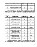 Referāts 'Mūsdienu jaunatnes leksikas īpatnības', 14.