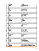 Referāts 'Mūsdienu jaunatnes leksikas īpatnības', 21.