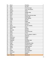 Referāts 'Mūsdienu jaunatnes leksikas īpatnības', 22.