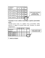 Konspekts 'Mazas grupas vajadzību, normu izpēte. Lomu izpēte mazā grupā un lomu atbilstība ', 4.