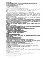 Konspekts 'Tiesību pamati', 3.