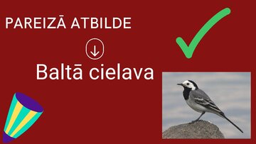 Prezentācija 'Spēle "Cik daudz tu zini par latviešu kultūru, tradīcijām?"', 5.
