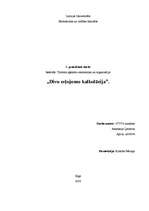 Referāts 'Divu ceļojumu kalkulācija', 1.