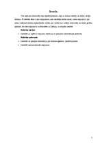 Referāts 'Divu ceļojumu kalkulācija', 3.