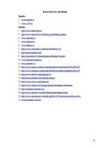 Referāts 'Divu ceļojumu kalkulācija', 13.