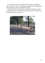 Referāts 'Braukšanas ātrums', 26.