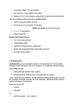 Konspekts 'Eksāmens histoloģijā', 3.