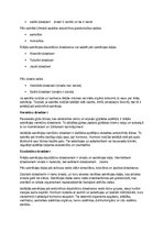 Konspekts 'Eksāmens histoloģijā', 4.