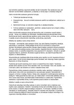 Konspekts 'Eksāmens histoloģijā', 8.