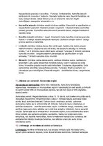 Konspekts 'Eksāmens histoloģijā', 11.