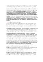 Konspekts 'Eksāmens histoloģijā', 12.