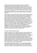 Konspekts 'Eksāmens histoloģijā', 17.