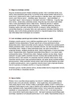 Konspekts 'Eksāmens histoloģijā', 18.