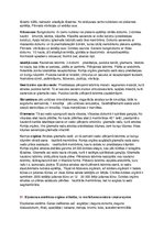 Konspekts 'Eksāmens histoloģijā', 22.