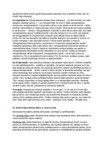 Konspekts 'Eksāmens histoloģijā', 25.