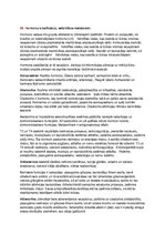 Konspekts 'Eksāmens histoloģijā', 26.