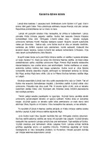 Eseja 'Brīvības cīņu strēlnieka stāsts Bermontiādes laikā', 1.