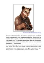 Referāts 'Estētikas pamatkategorijas', 4.