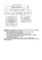 Konspekts 'Veronikas Bikses "Makroekonomika"', 10.