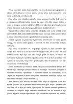 Referāts 'Latviešu koka celtnes un to iekārta. Rija', 4.