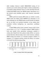 Diplomdarbs 'Operatīvās atmiņas uzbūve un darbības princips', 38.