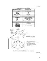Diplomdarbs 'Operatīvās atmiņas uzbūve un darbības princips', 76.