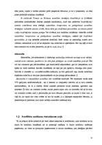 Referāts 'Konfliktsituāciju cēloņi', 13.