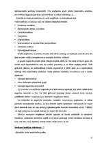 Referāts 'Konfliktsituāciju cēloņi', 14.