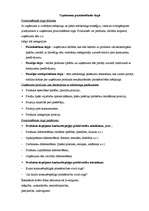 Konspekts 'Uzņēmuma pozicionēšanās tirgū', 1.