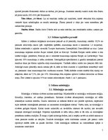 Referāts 'Islāma mitoloģija', 5.