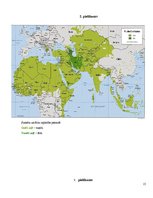 Referāts 'Islāma mitoloģija', 15.