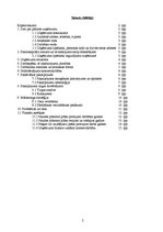 Biznesa plāns 'Pakalpojumi', 2.