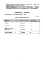 Biznesa plāns 'Pakalpojumi', 6.