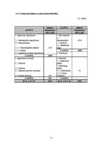 Biznesa plāns 'Pakalpojumi', 16.