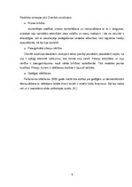 Referāts 'Ukraina - starptautiskās sabiedriskās attiecības', 8.