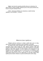 Referāts 'Kora partitūras analīze', 31.