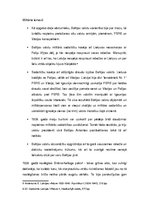 Referāts 'Baltijas valstu savienība - iespējas un neveiksme', 9.