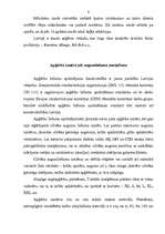 Konspekts 'Šūtie izstrādājumi', 6.