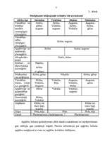 Konspekts 'Šūtie izstrādājumi', 9.