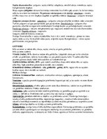 Konspekts 'Sajūtas un uztvere - psiholoģija', 2.