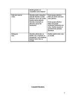 Konspekts 'Stundu plāns kultūras vēsturē', 8.