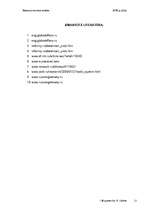 Referāts 'Krievijas politiskā sistēma 2005.gadā', 12.