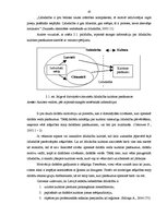 Diplomdarbs 'Cittautiešu līdzdalības iespējas Jelgavā rīkotajos kultūras pasākumos', 45.