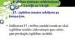 Prezentācija 'Izglītības sistēmas salīdzinājums Latvijā un Vācijā', 22.