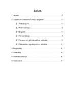 Referāts 'Uzņēmuma mikrovide', 1.