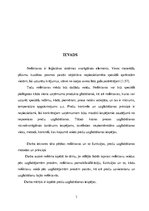 Referāts 'Preču uzglabāšanas iespējas', 3.