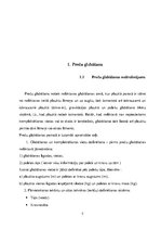 Referāts 'Preču uzglabāšanas iespējas', 5.